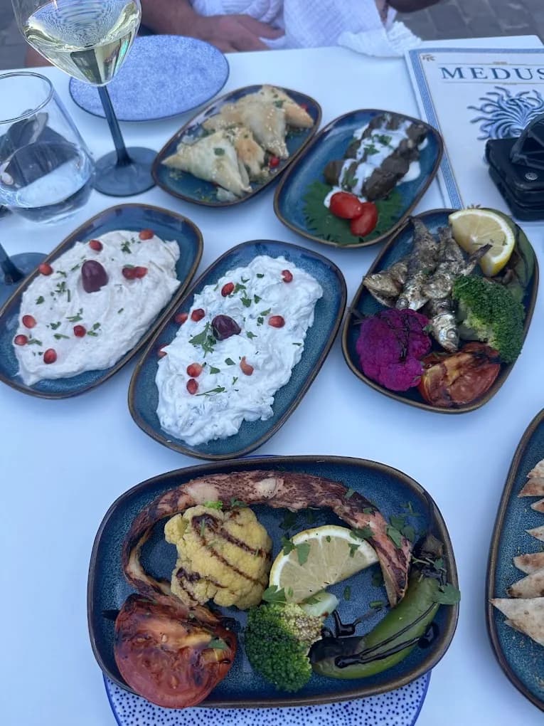 Mezze om te delen op het terras: tzatziki, taramas, octopus, spanakopita